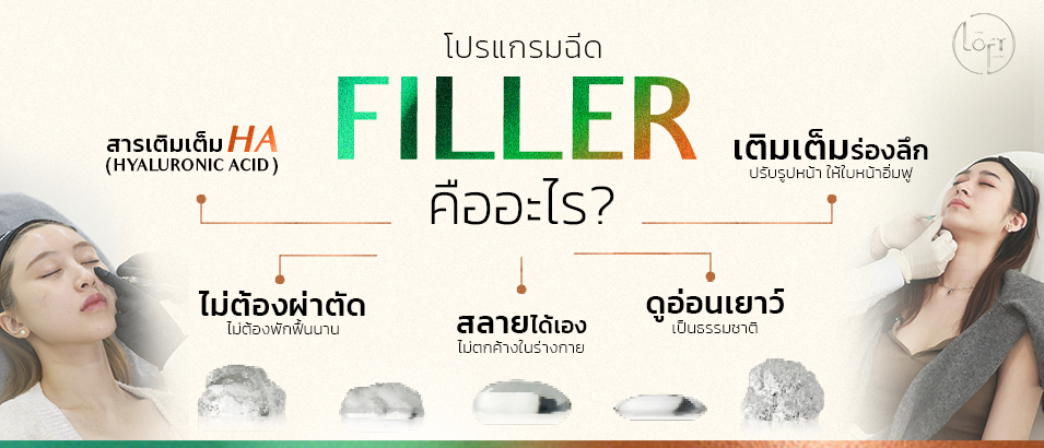 โปรแกรม ฟิลเลอร์ คืออะไร