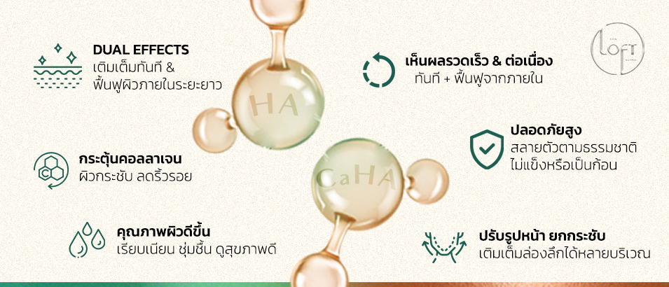 Program HACa ต่างจากสารกระตุ้นคอลลาเจนตัวอื่นอย่างไร